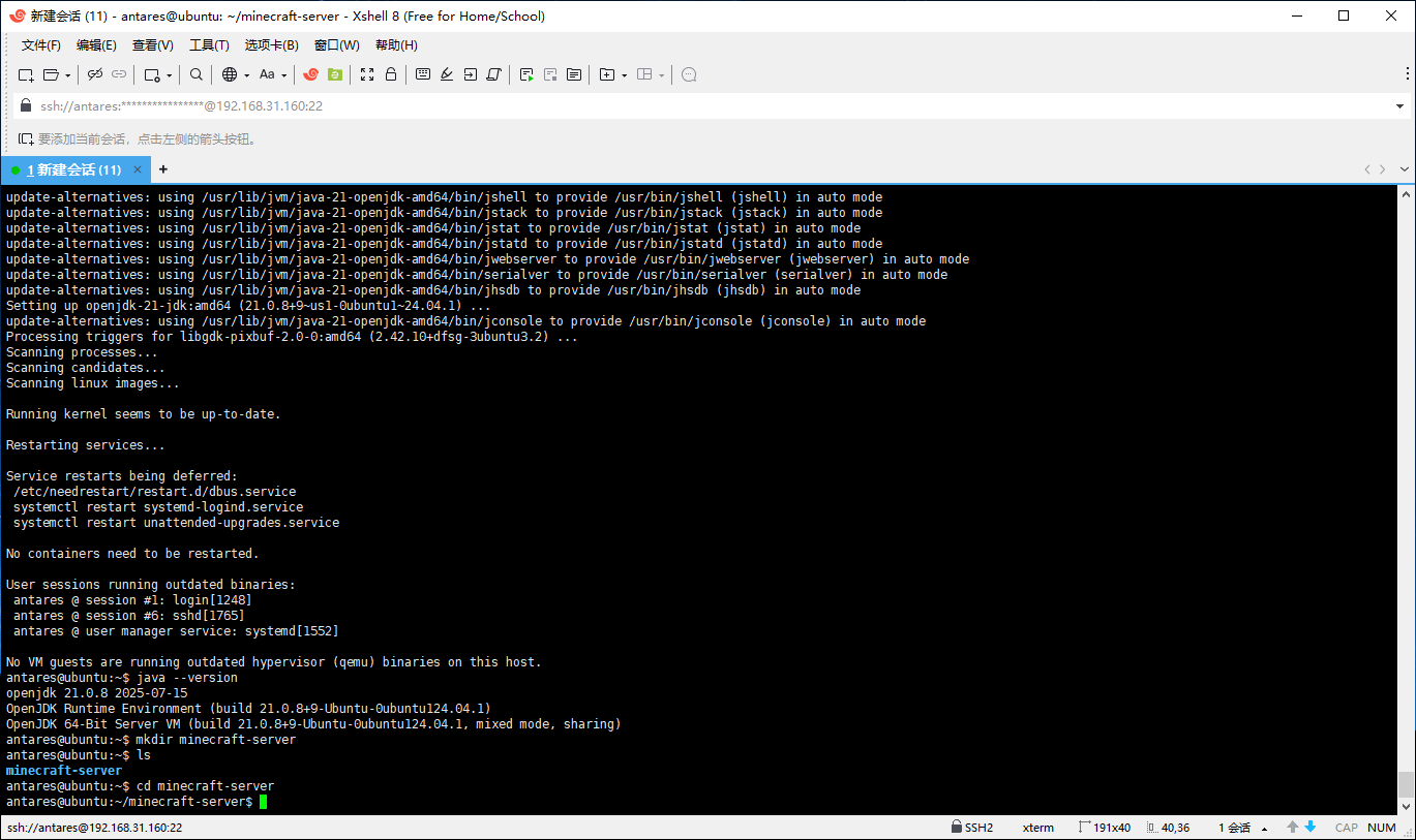 图片[14]-如何在Linux系统下开MC服务器-风の博客